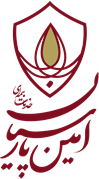 امین-پارسیان.png